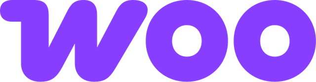 experto-en-seo-wordpress