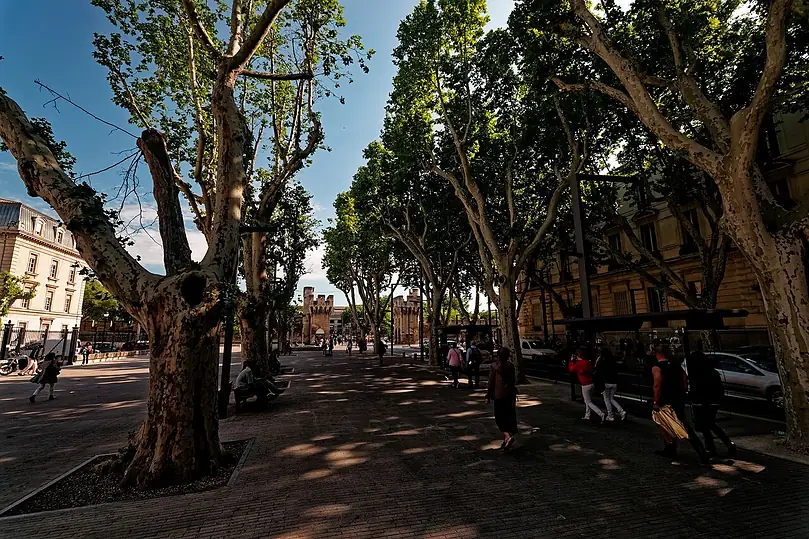 referencement-local-avignon