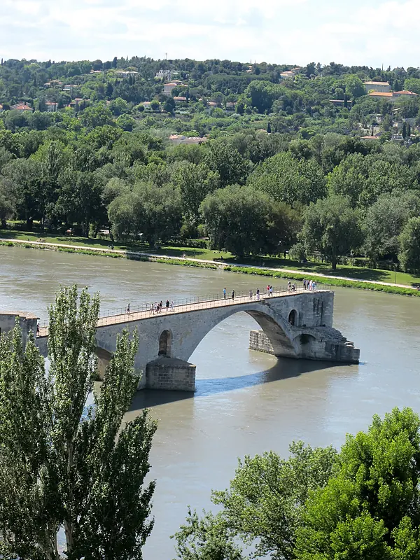expert-seo-avignon