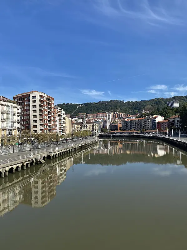 experto-seo-bilbao
