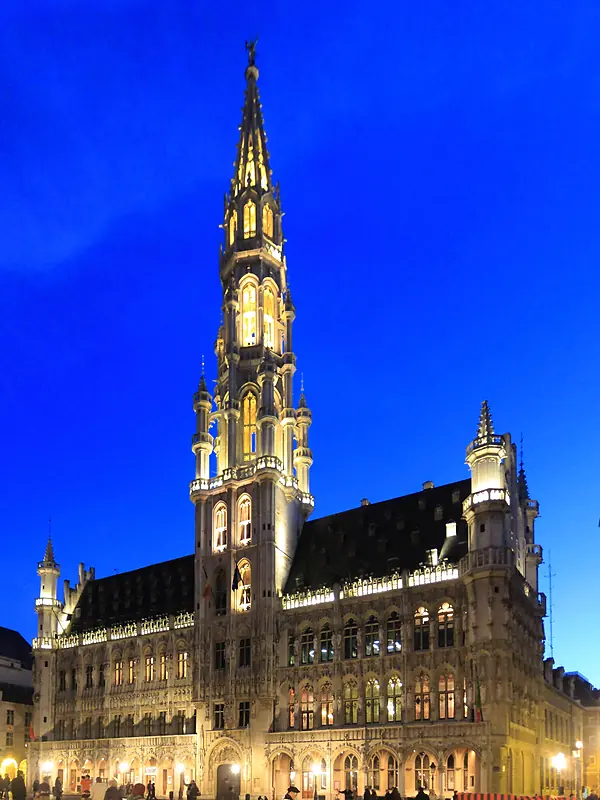 expert-seo-bruxelles