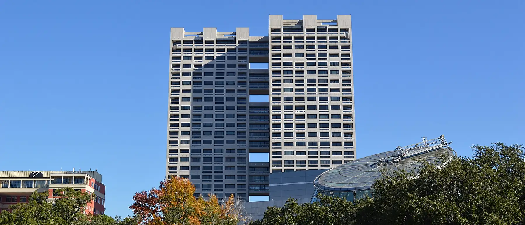 auditoria-seo-houston