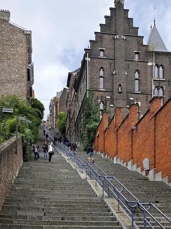 expert-seo-liege