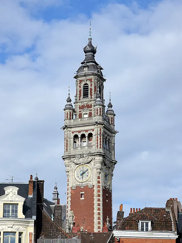expert-seo-lille