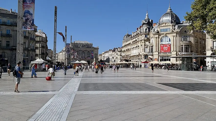 referencement-naturel-montpellier