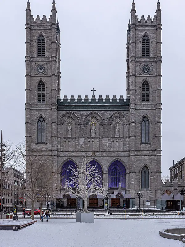 expert-seo-montreal