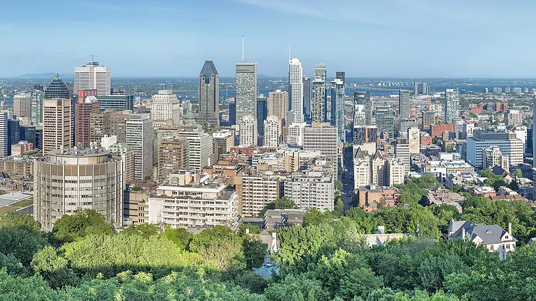 referencement-naturel-montreal