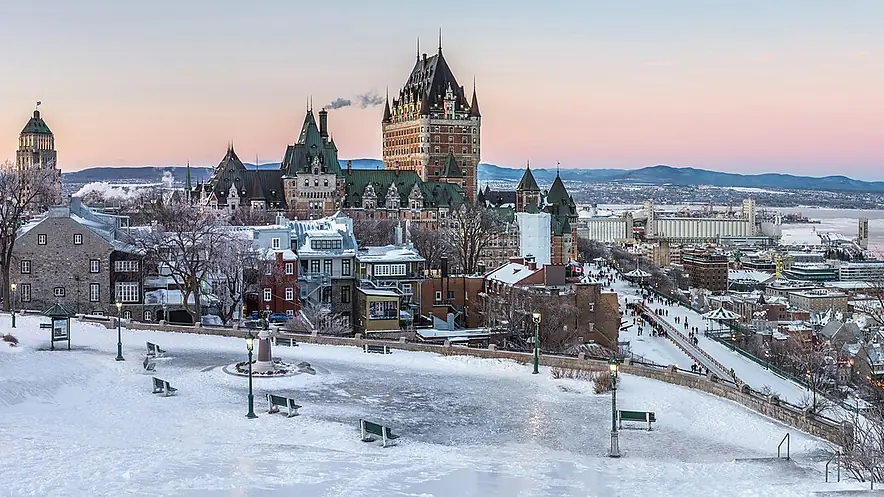 referencement-naturel-quebec