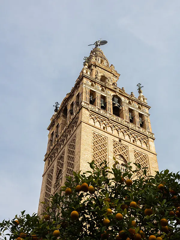 experto-seo-sevilla